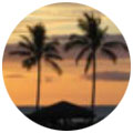 Tripadvisor user icon